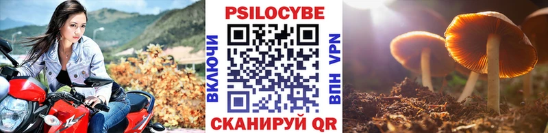 Псилоцибиновые грибы мухоморы  Кузнецк 