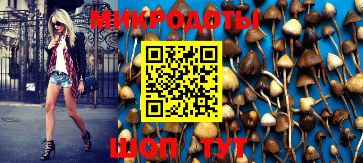 Кузнецк  Псилоцибиновые грибы ЛСД  Вход с VPN 