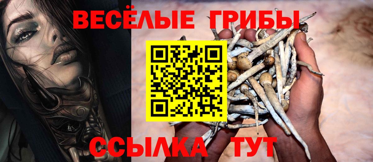 Псилоцибиновые грибы мухоморы  продажа наркотиков  Кузнецк  Галлюциногенные грибы прущие грибы 